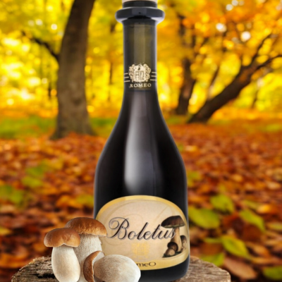 Liquore ai Funghi Porcini dell’Etna Cl 50